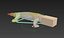 Gecko lizard