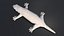 Gecko lizard