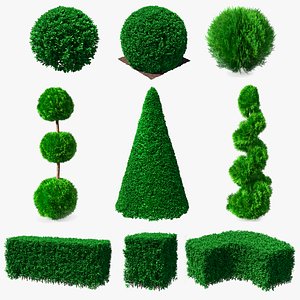 Decorative Shrubs Collection 5