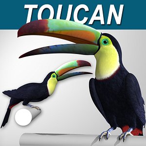 Toucan B Folded Wings
