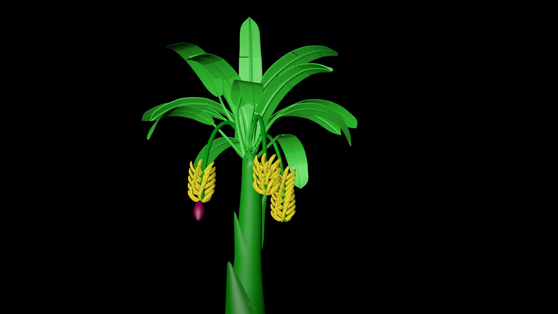 Banana Tree Model - TurboSquid 2130997