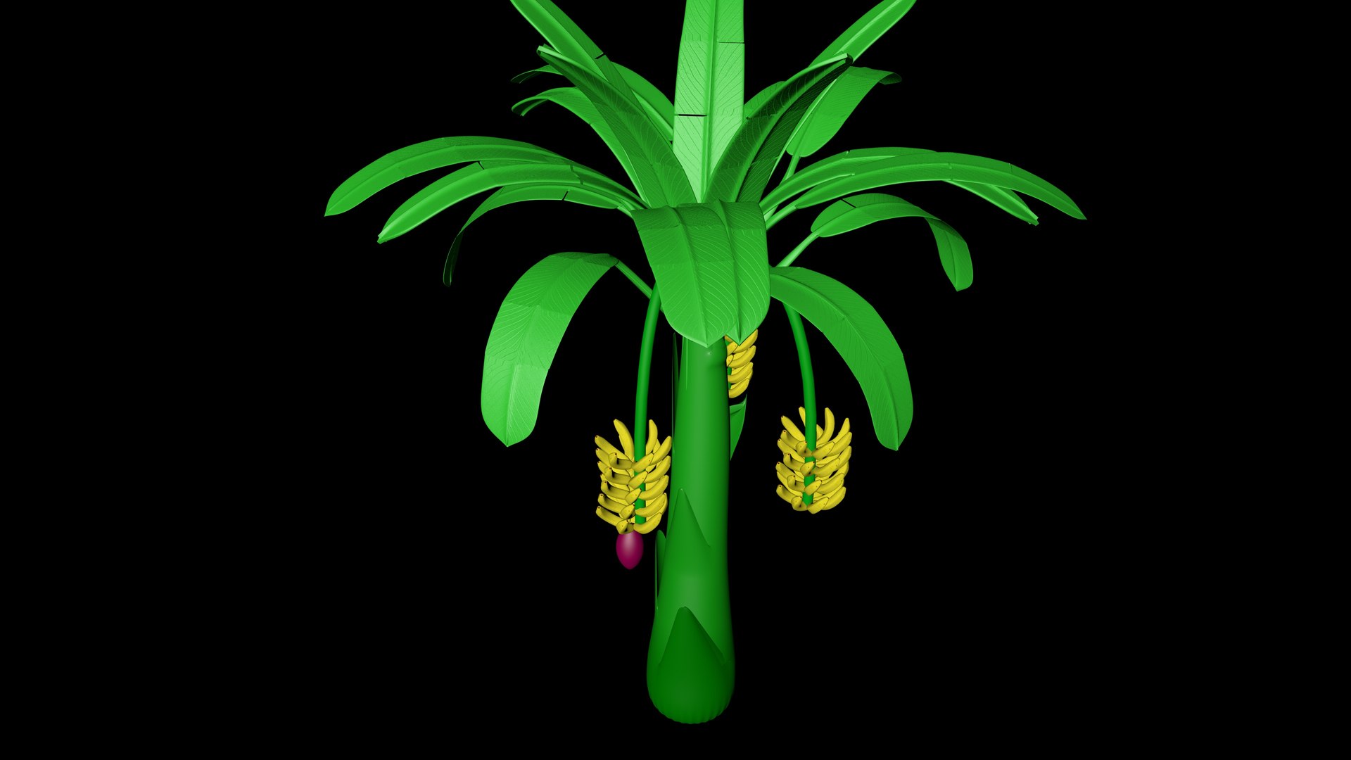 Banana Tree Model - TurboSquid 2130997