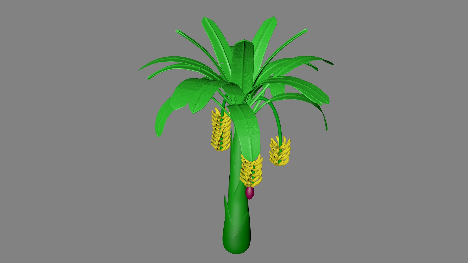 Banana Tree Model - TurboSquid 2130997