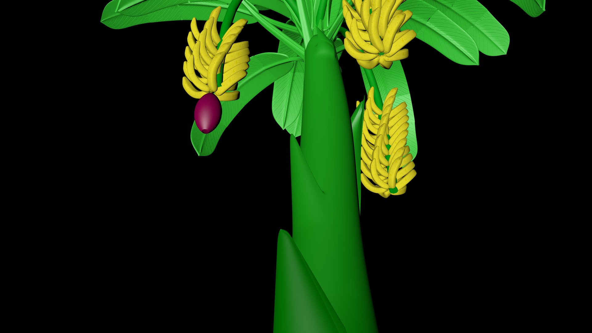 Banana Tree Model - TurboSquid 2130997