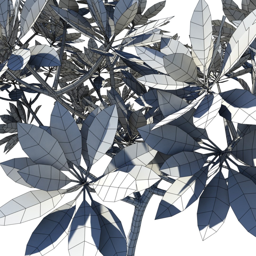 tree frangipani 3d model https://p.turbosquid.com/ts-thumb/DK/j17K14/mcWo3dV1/franjipani06/jpg/1290015399/1920x1080/fit_q87/57b729cd481d2607dd735fa1442388766829ff5e/franjipani06.jpg