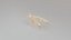 Modelo 3D de Lustre de Cristal de Luxo -7