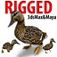 canard