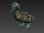 canard