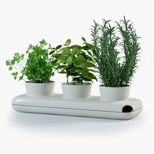 Herbs in Sagaform Pot