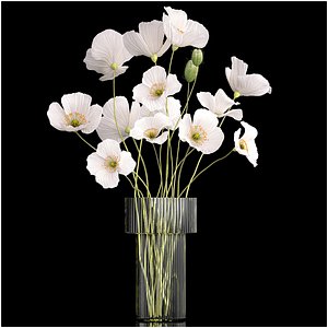3D Bouquet of white wildflowers in a vase with poppy 404