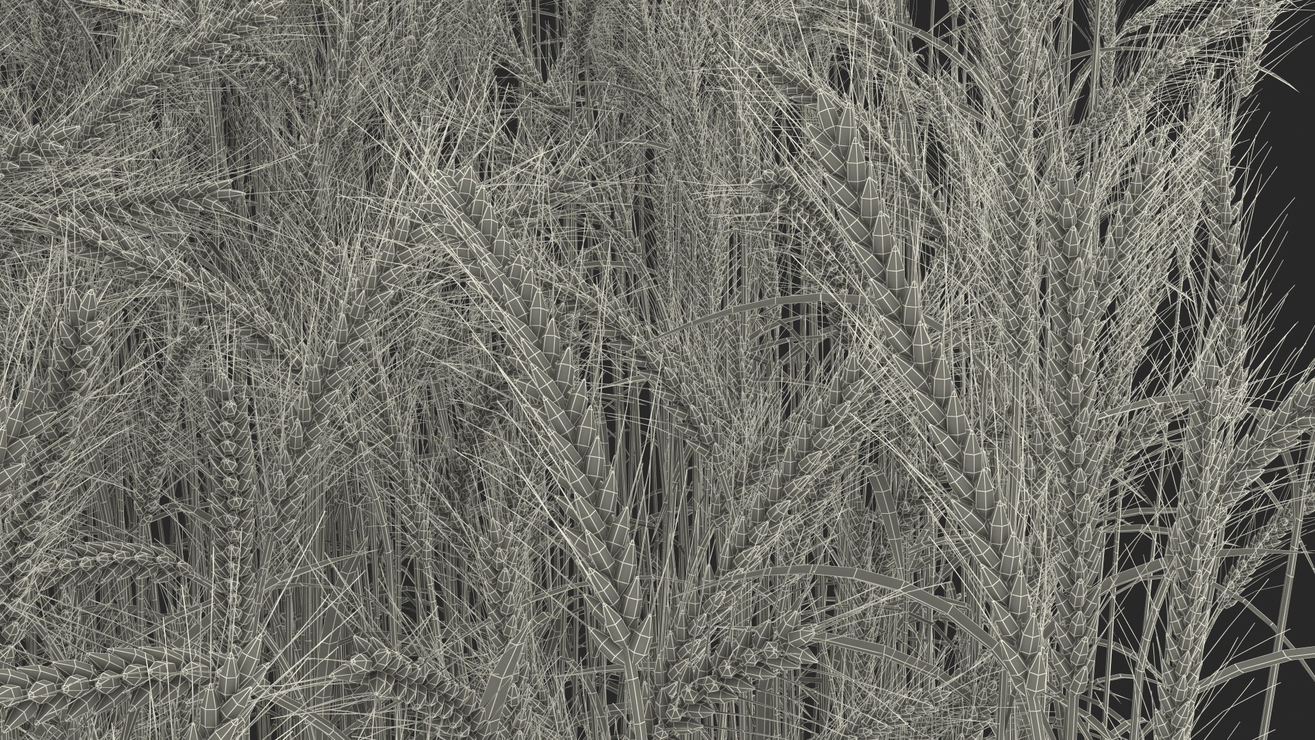3D wheat 2 model https://p.turbosquid.com/ts-thumb/DL/9Qpjw7/9XjE8Roo/wheatcollection23dsmodel033/jpg/1599716786/1920x1080/fit_q87/78ebbf588555e4cee4fd0a9c0df97c9d9abecd21/wheatcollection23dsmodel033.jpg