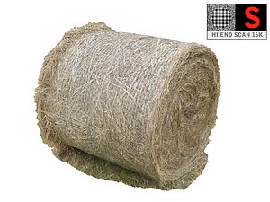 haystack scanned 3D