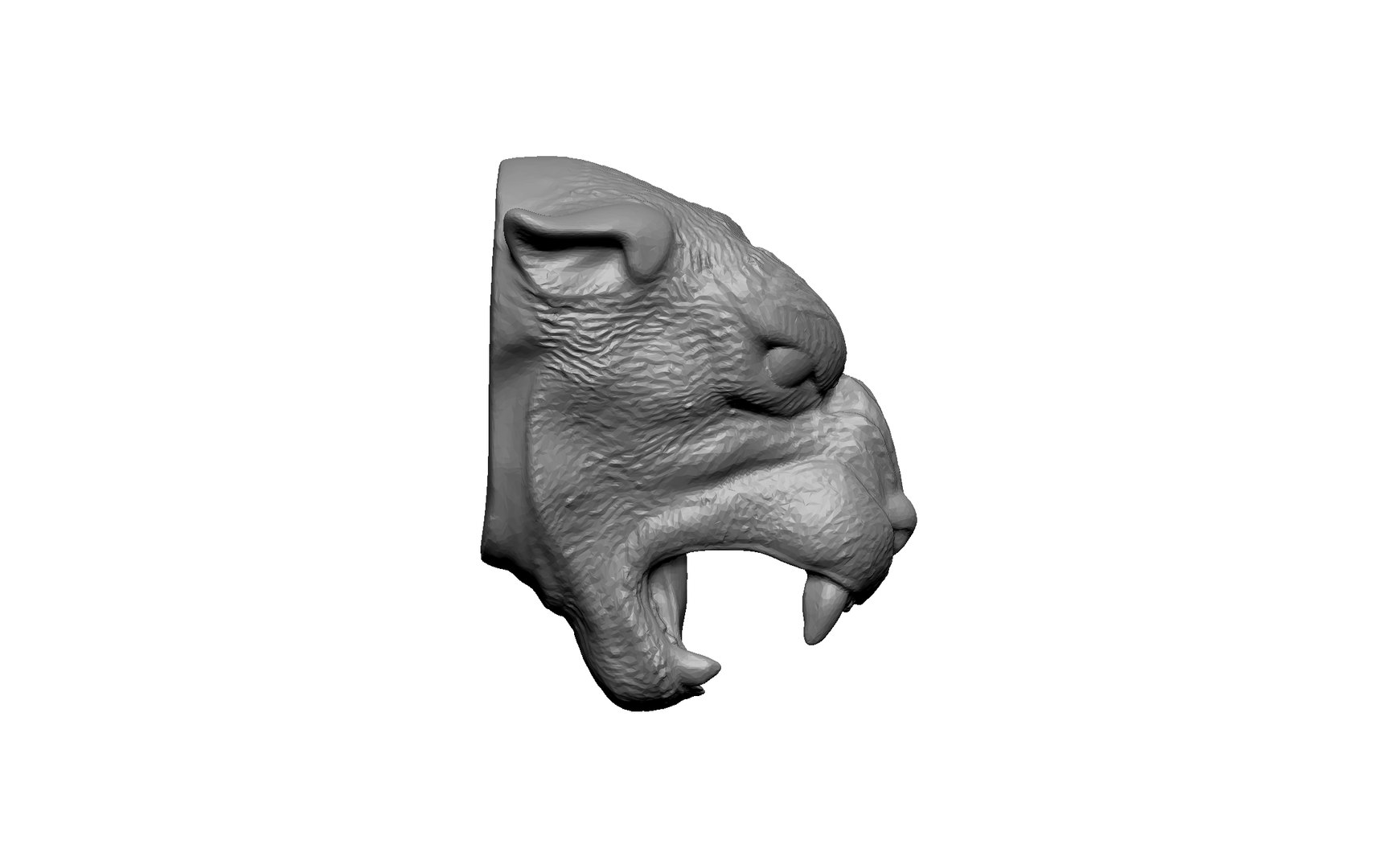 Tiger Cat Puma 3D - TurboSquid 2228481