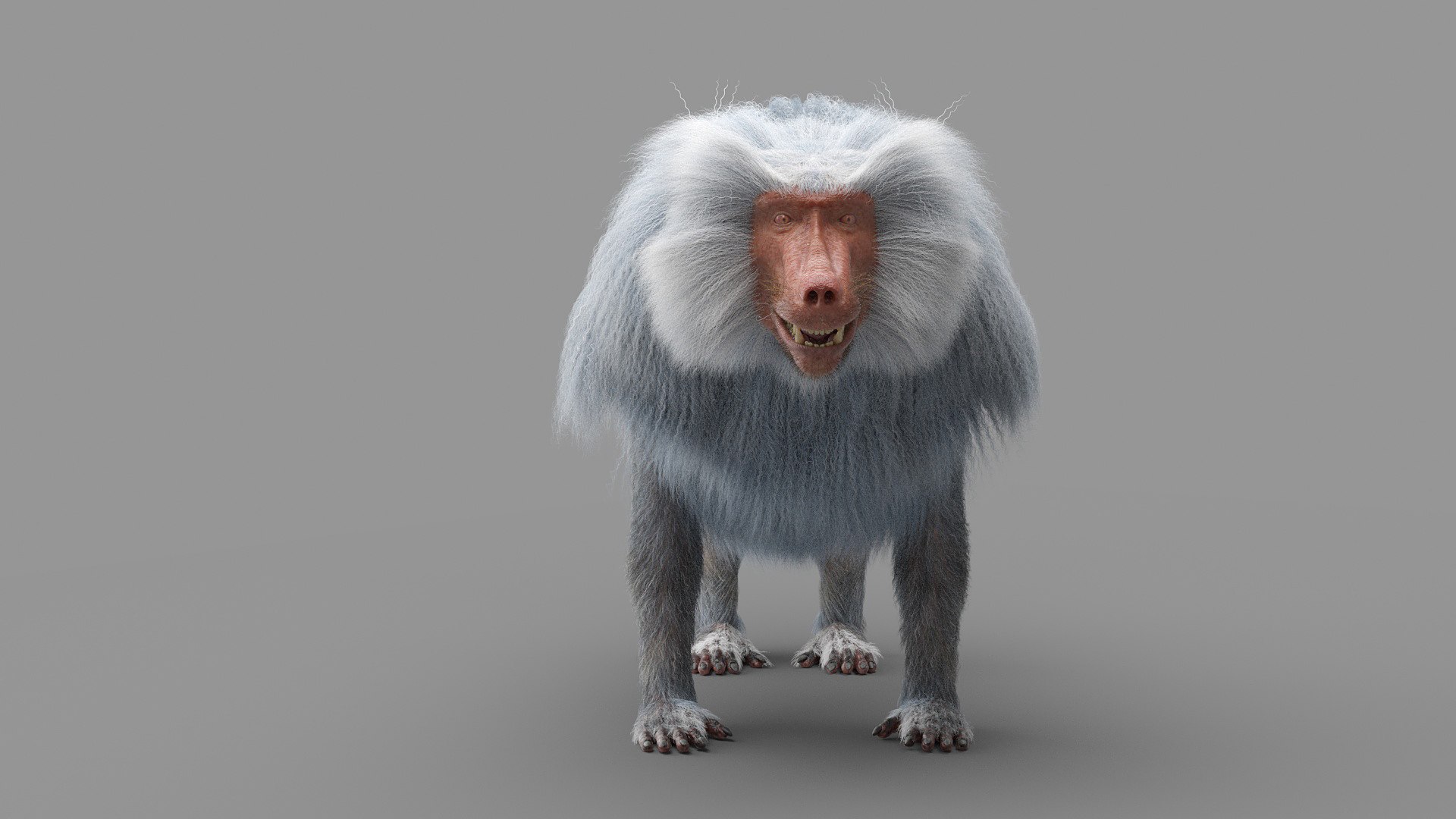 Baboon Realistic Ornatrix 3D Model - TurboSquid 1617461