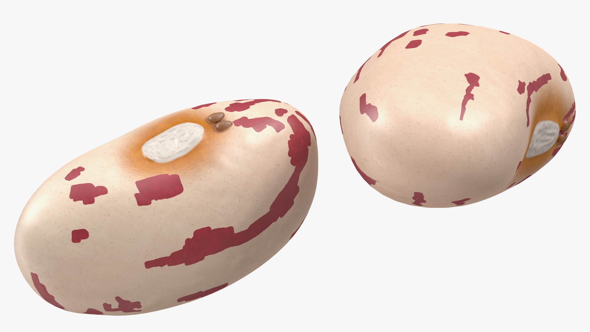 3D Wooden Spoons with Seeds Collection 3 model https://p.turbosquid.com/ts-thumb/DL/OUB9yt/RH/woodenspoonswithseedscollection33dsmodel012/jpg/1655939869/1920x1080/fit_q87/29785e025e4631de18c855afe856fa51a4c80369/woodenspoonswithseedscollection33dsmodel012.jpg