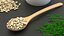 3D Wooden Spoons with Seeds Collection 3 model