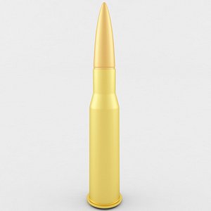 7 62x54R Cartridge
