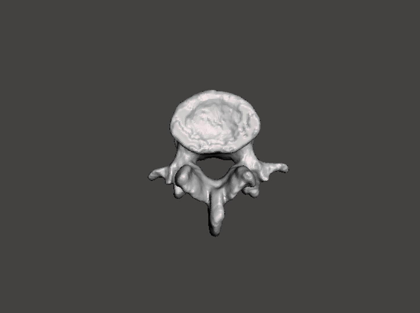 obj rendering man vertebrae https://p.turbosquid.com/ts-thumb/DL/YJ6pHZ/1kF3kFQ2/19d/png/1454794653/1920x1080/fit_q87/4af288d5f1b7e42289e079358e3f4327a7fbb425/19d.jpg