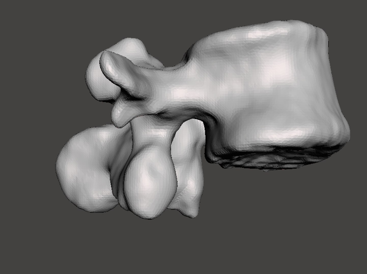 obj rendering man vertebrae https://p.turbosquid.com/ts-thumb/DL/YJ6pHZ/5h5arjh8/11d/png/1454794614/1920x1080/fit_q87/fac23ccc1e407a25ac6b55a7393f4c6b1f746c88/11d.jpg