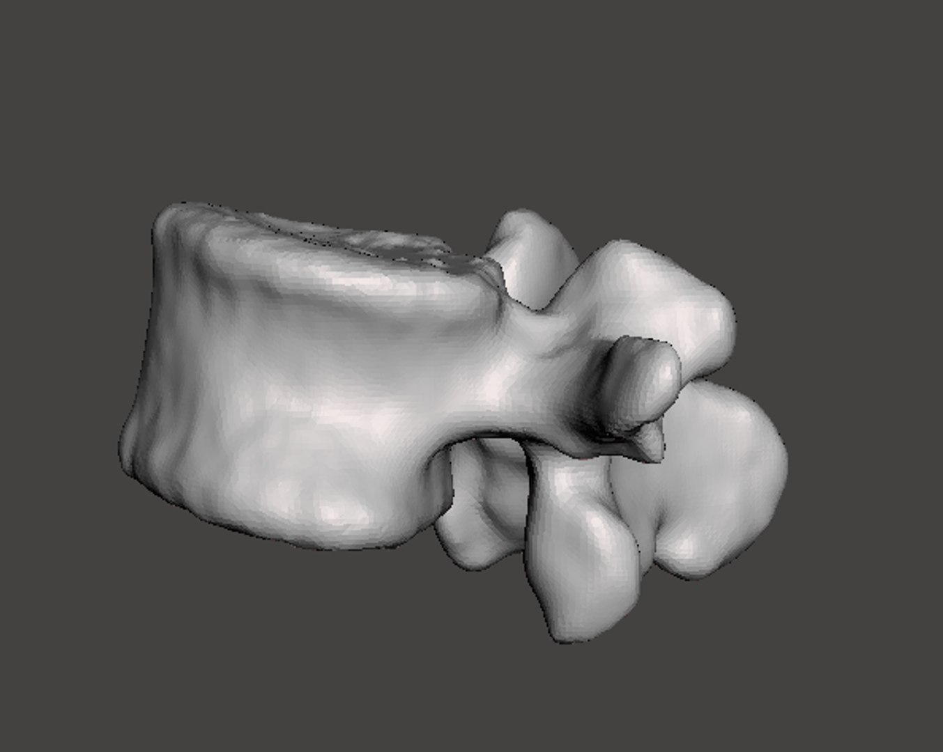 obj rendering man vertebrae https://p.turbosquid.com/ts-thumb/DL/YJ6pHZ/66dZOM3B/20d/png/1454794658/1920x1080/fit_q87/c1c439c8857f3fad10f5e0390d69f00fe92b1afb/20d.jpg