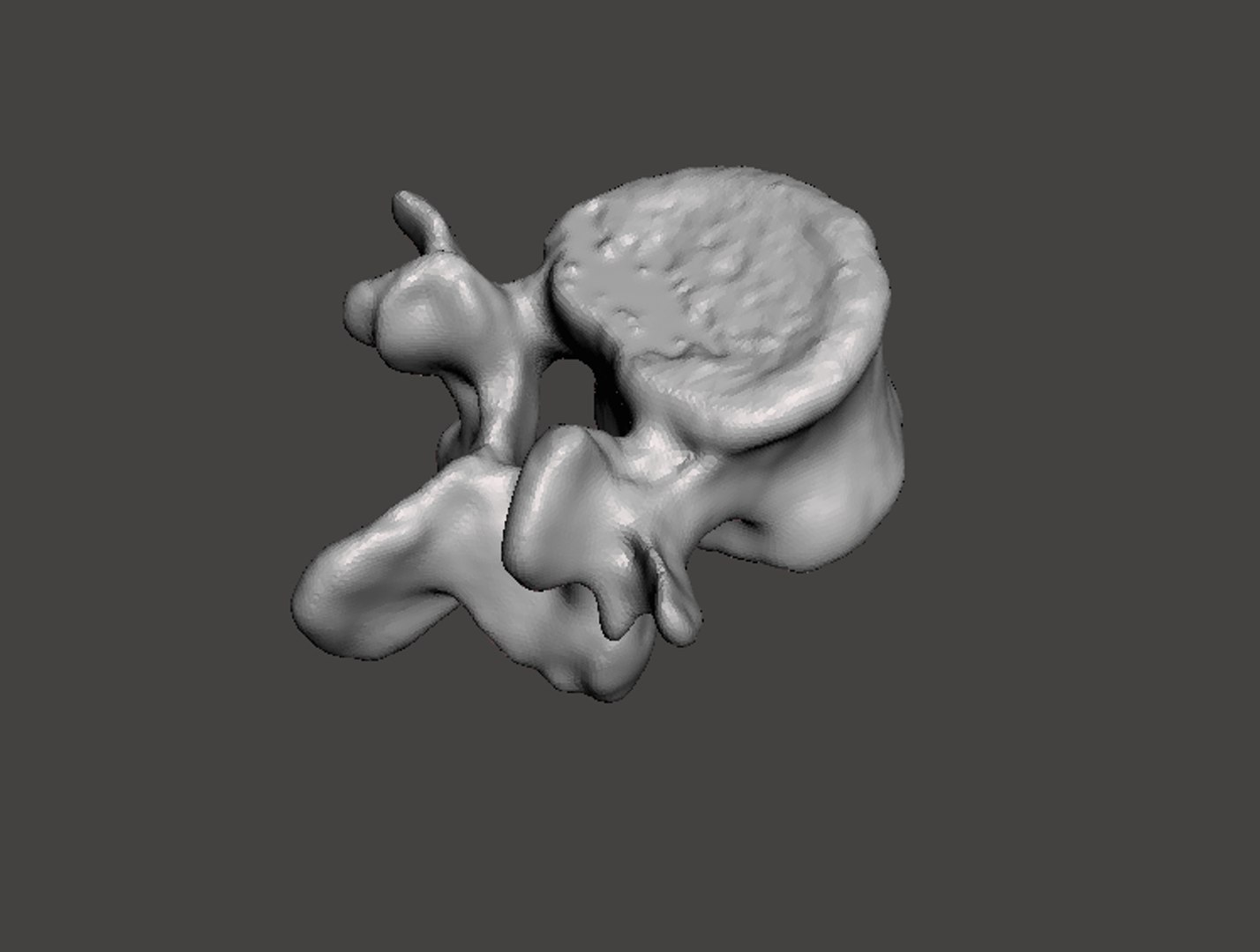 obj rendering man vertebrae https://p.turbosquid.com/ts-thumb/DL/YJ6pHZ/AooVCUjq/3d/png/1454794587/1920x1080/fit_q87/1ae0746cbb9596a396574ed6ea24977b36bbfd2d/3d.jpg