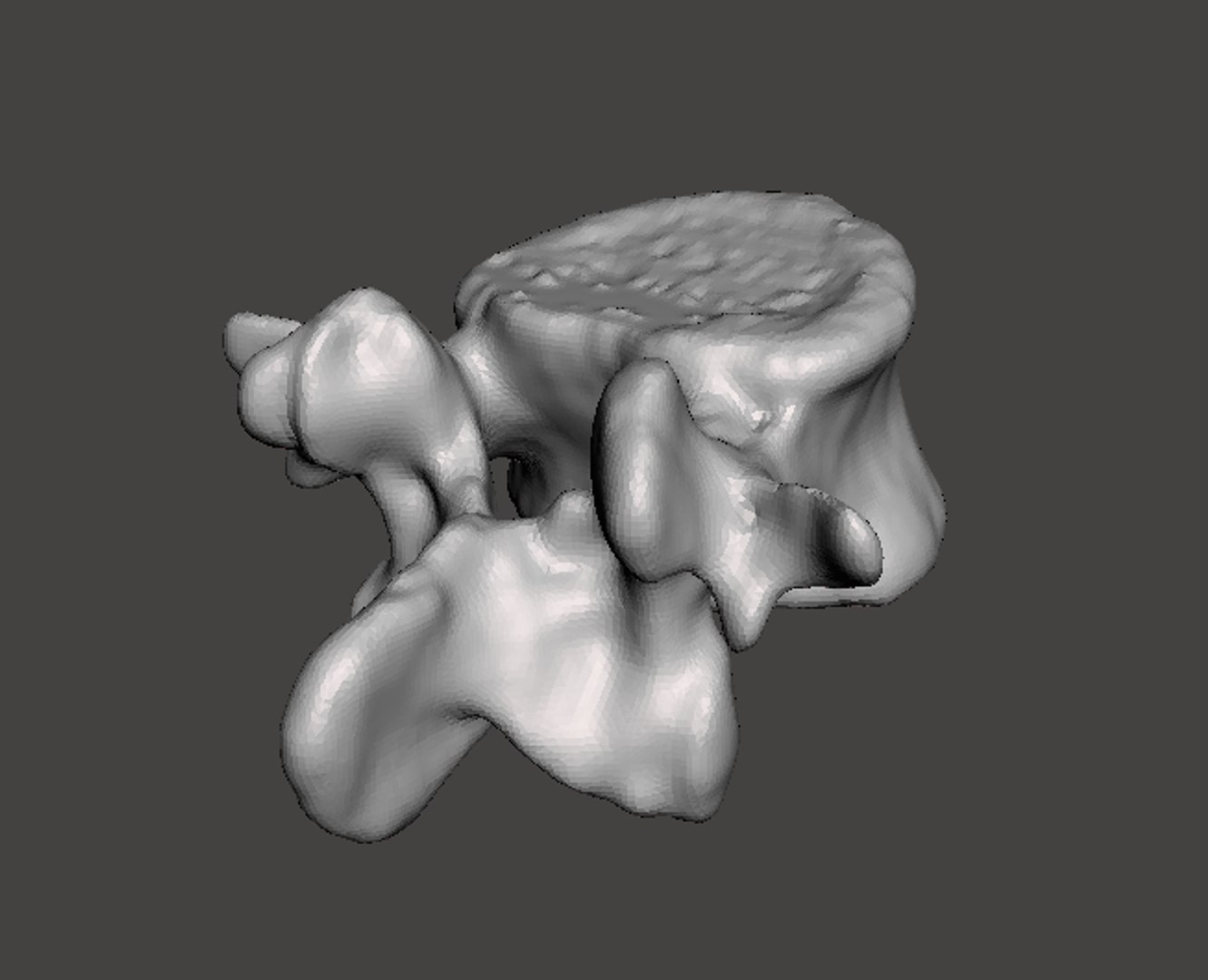 obj rendering man vertebrae https://p.turbosquid.com/ts-thumb/DL/YJ6pHZ/HzFYGHQj/9d/png/1454794606/1920x1080/fit_q87/2751a2e27de226c88906dda960b46358bead9a7c/9d.jpg