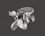 Human vertebrae