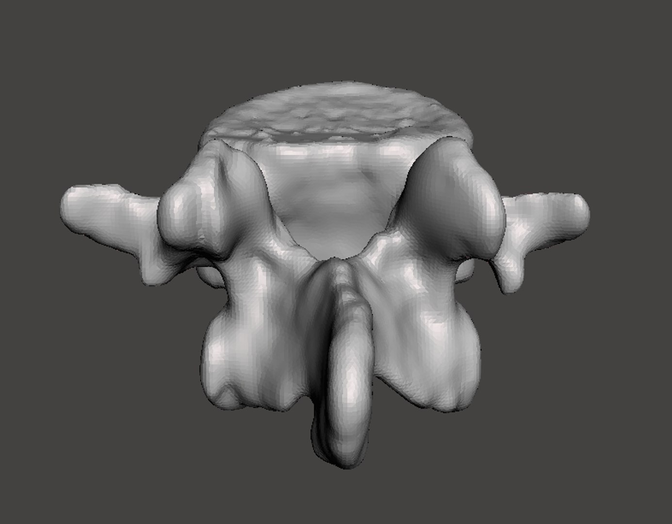 obj rendering man vertebrae https://p.turbosquid.com/ts-thumb/DL/YJ6pHZ/M2dDo4or/7d/png/1454794599/1920x1080/fit_q87/a3222d5f0a689216e58ceb207e16c951822fa633/7d.jpg