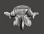 Human vertebrae