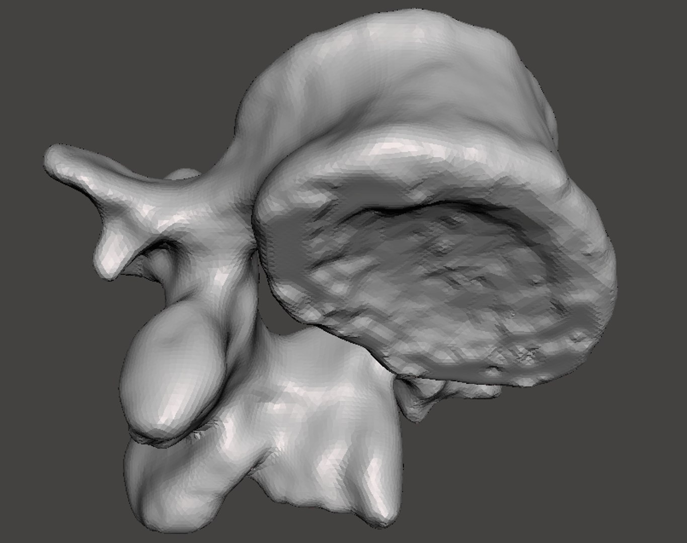 obj rendering man vertebrae https://p.turbosquid.com/ts-thumb/DL/YJ6pHZ/caP530vk/12d/png/1454794621/1920x1080/fit_q87/9b71d2fcc6aa29eff5790de445c59dd3e6b8e5f7/12d.jpg