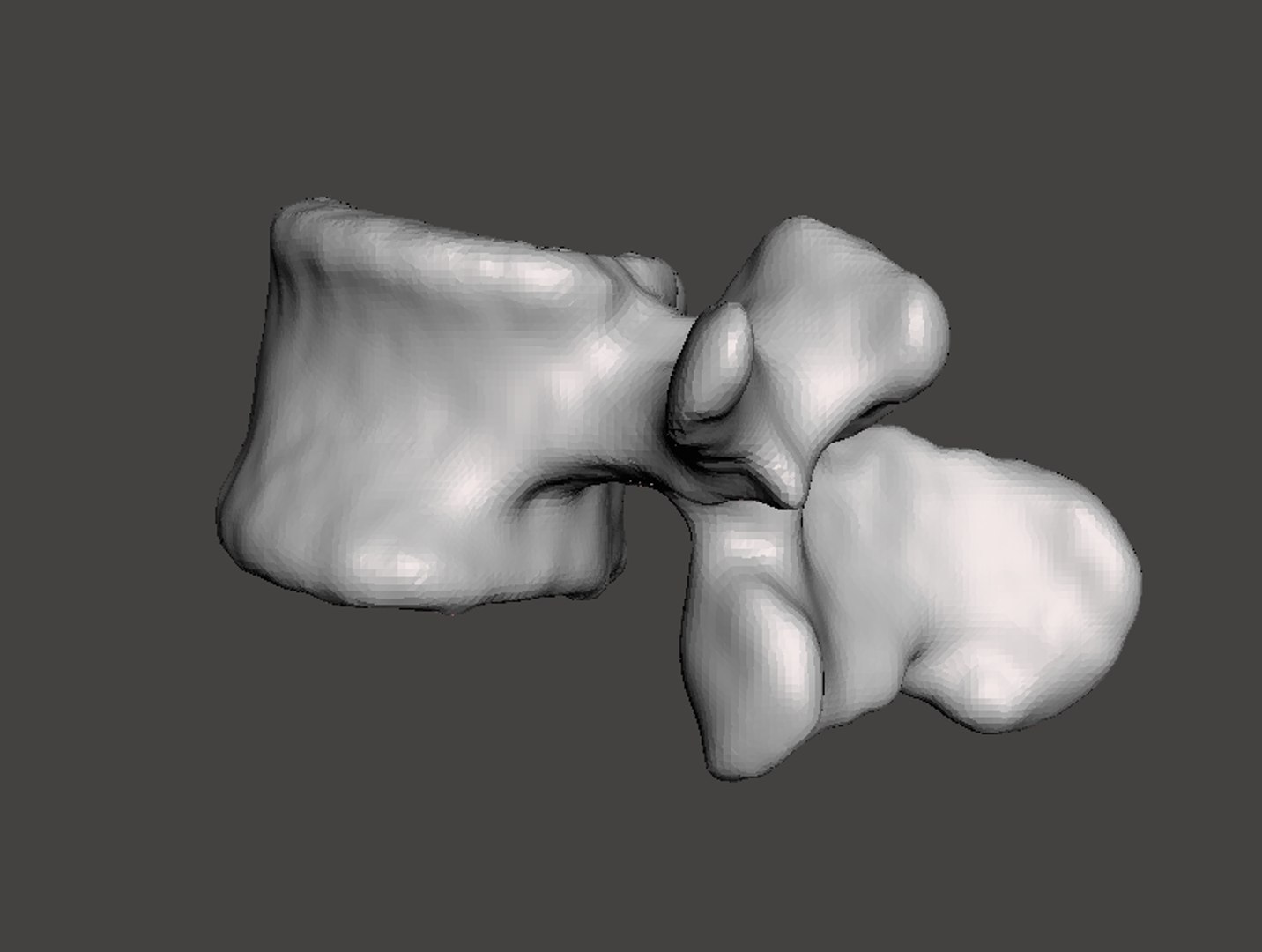 obj rendering man vertebrae https://p.turbosquid.com/ts-thumb/DL/YJ6pHZ/iLDCeAkA/6d/png/1454794595/1920x1080/fit_q87/1ea64fd71f0de3aed08cb1eba2384e22629b03af/6d.jpg
