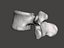 Human vertebrae