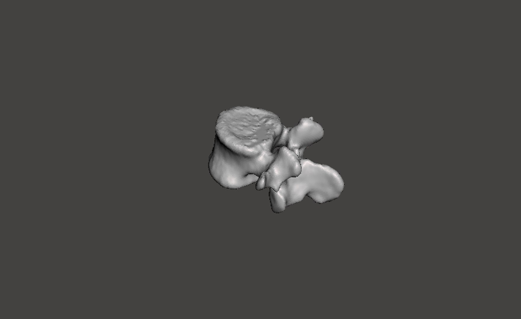 obj rendering man vertebrae https://p.turbosquid.com/ts-thumb/DL/YJ6pHZ/nHMeWvOm/13d/png/1454794625/1920x1080/fit_q87/3ee493bdb8bf6ea49bcb374c73ed819a995af309/13d.jpg