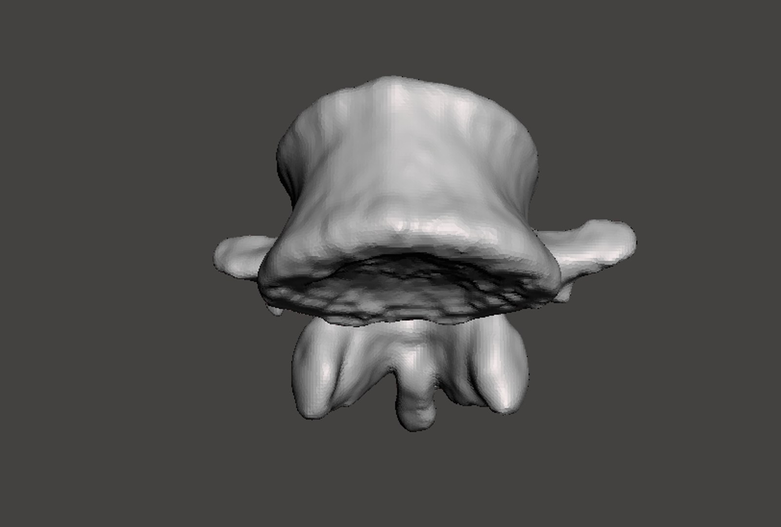 obj rendering man vertebrae https://p.turbosquid.com/ts-thumb/DL/YJ6pHZ/pfdZwXbR/10d/png/1454794608/1920x1080/fit_q87/a792dd571188938989ea482328975e77d5f3a87b/10d.jpg