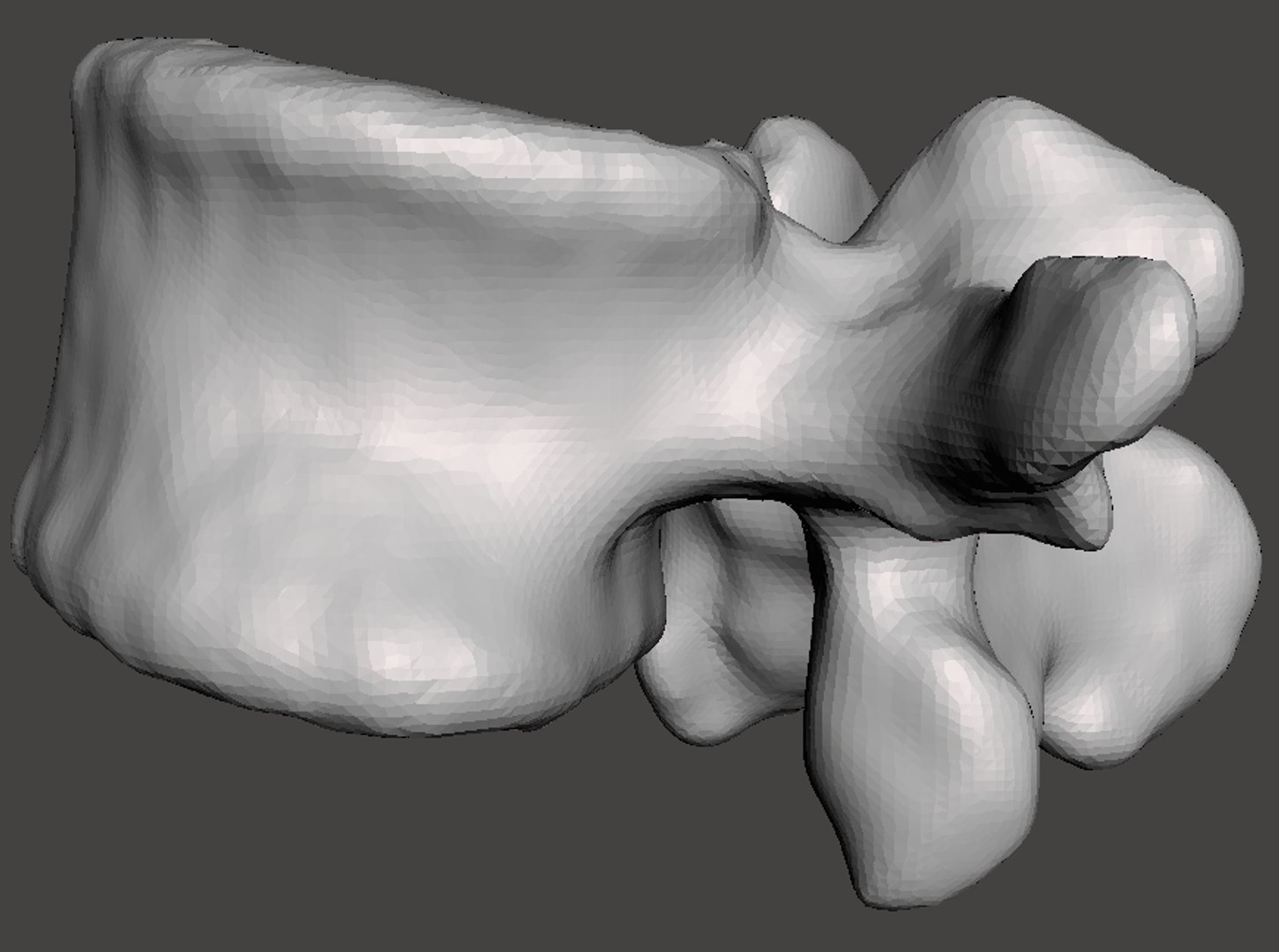 obj rendering man vertebrae https://p.turbosquid.com/ts-thumb/DL/YJ6pHZ/yGiWyOiJ/8d/png/1454794603/1920x1080/fit_q87/93c98b2d912fb5637550fc39de42c497923eb3ce/8d.jpg