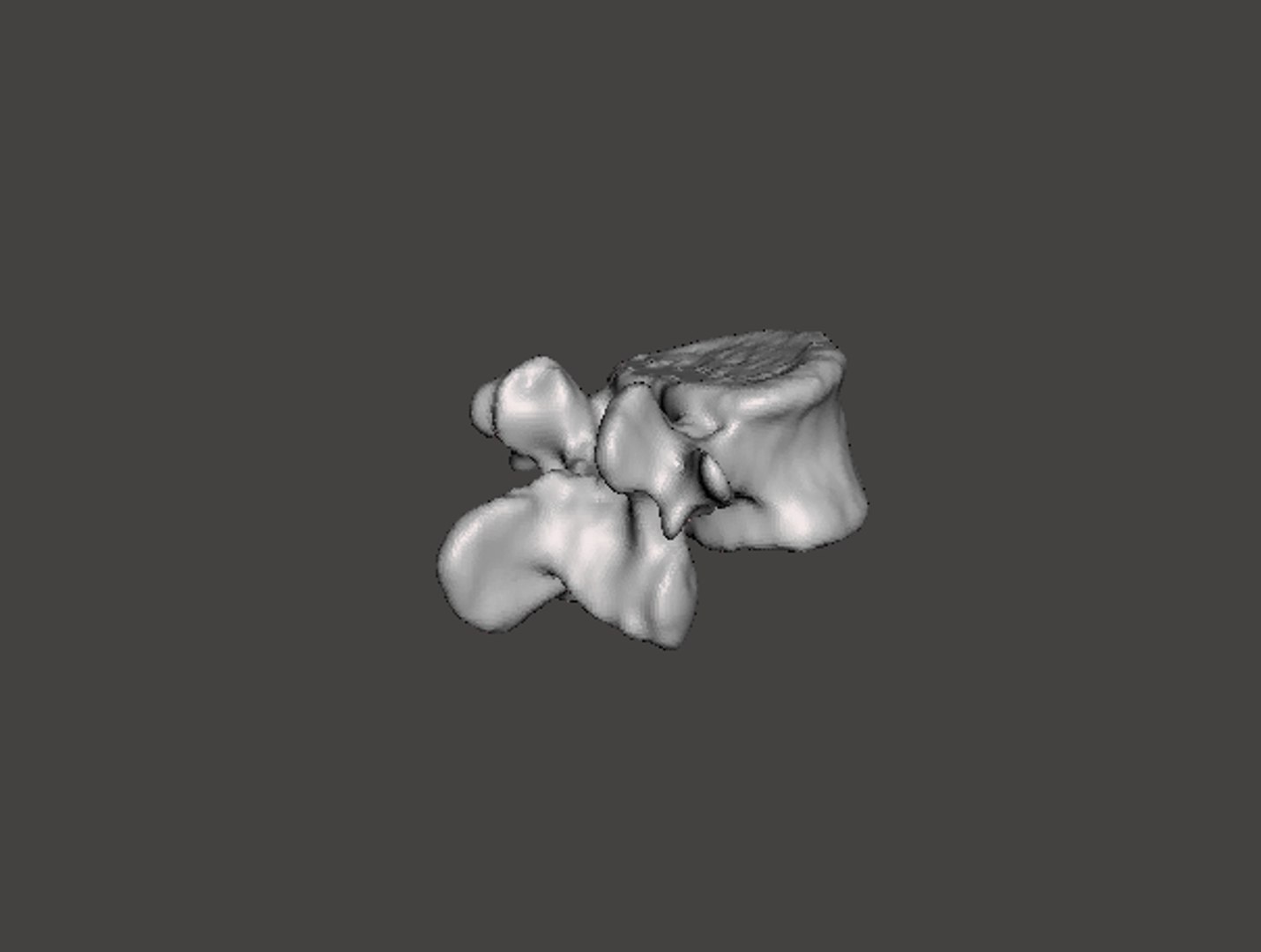 obj rendering man vertebrae https://p.turbosquid.com/ts-thumb/DL/YJ6pHZ/zCCVoePm/15d/png/1454794631/1920x1080/fit_q87/d0c19385daf33a403857565b11732ddf15c20a57/15d.jpg