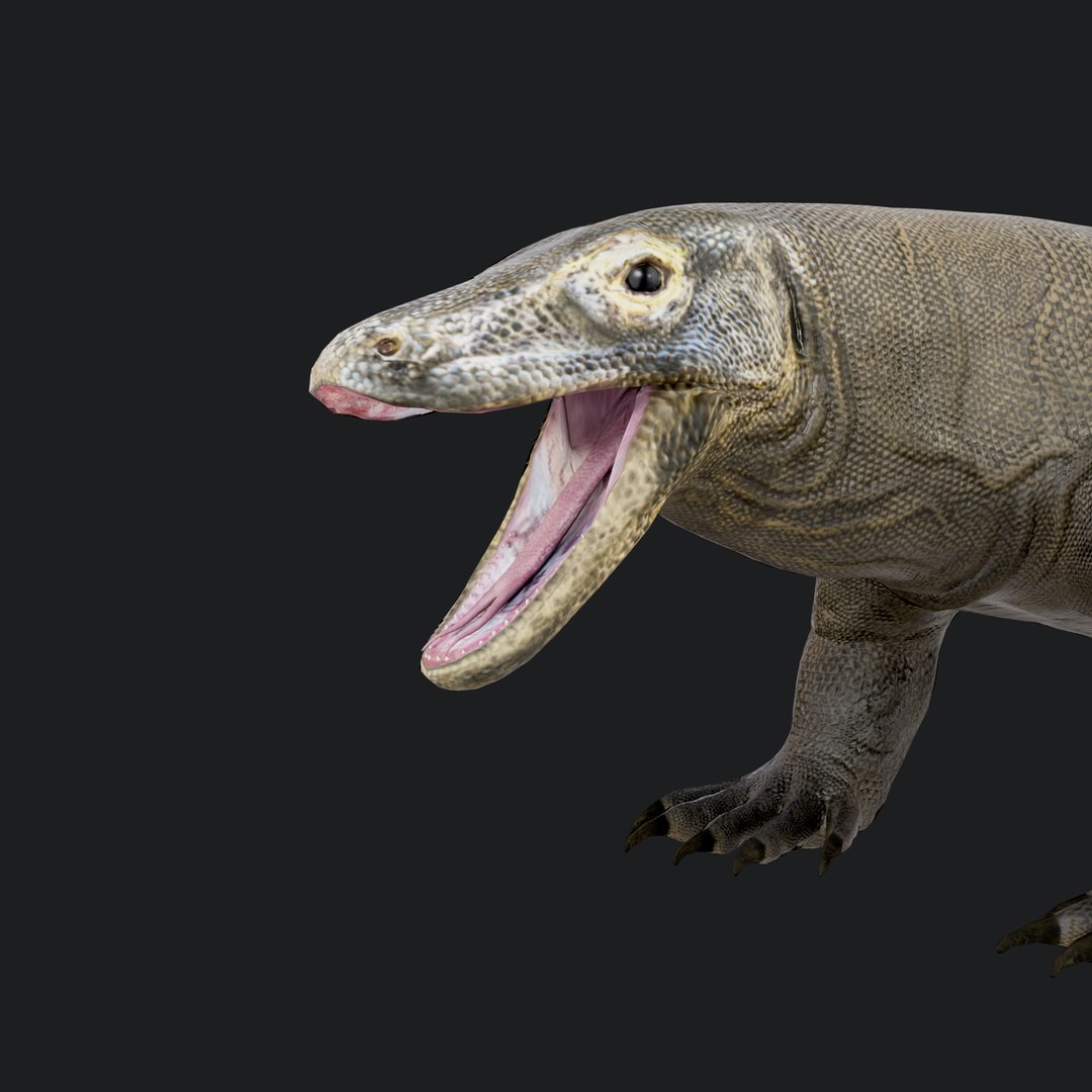 3D Komodo Dragon https://p.turbosquid.com/ts-thumb/DL/b1PAVW/7e/komododragon_107/jpg/1773982300/1920x1080/fit_q87/78d31534a13647b38213f640236a2f230d2d9afc/komododragon_107.jpg