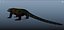 Komodo Dragon