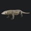 Komodo Dragon