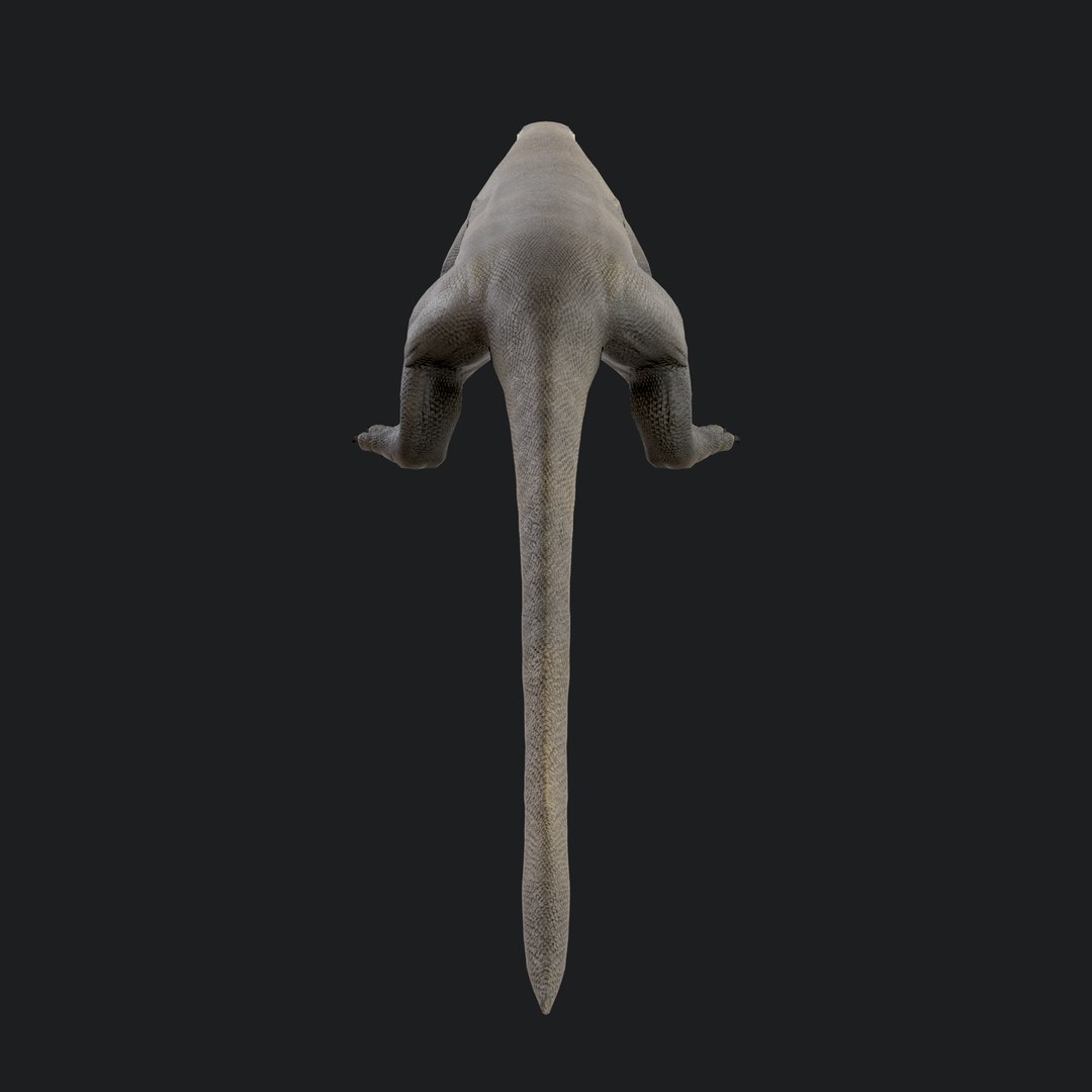 3D Komodo Dragon https://p.turbosquid.com/ts-thumb/DL/b1PAVW/aY/komododragon_105/jpg/1773982298/1920x1080/fit_q87/aa27a7aa695f7e940ad9d131ea80aafd8ef132bd/komododragon_105.jpg