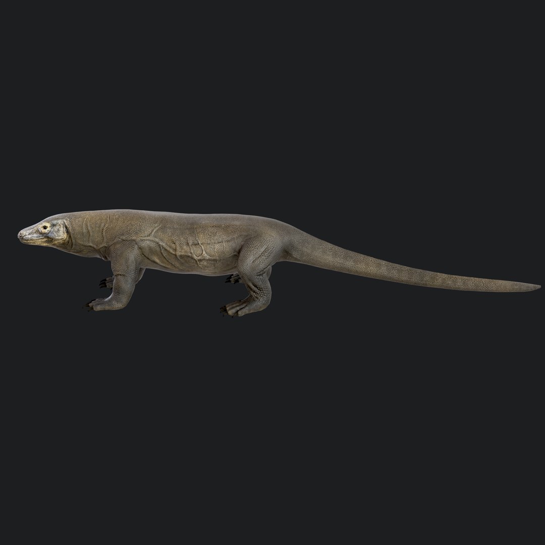 3D Komodo Dragon https://p.turbosquid.com/ts-thumb/DL/b1PAVW/eg/komododragon_103/jpg/1773982297/1920x1080/fit_q87/6d6db6157481cb1b16db2ccb440856cf2dc1b746/komododragon_103.jpg