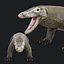 Komodo Dragon