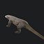 Komodo Dragon