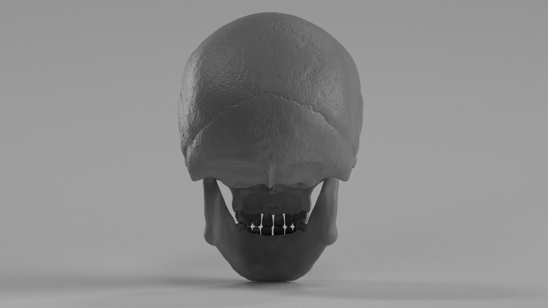 Human Skull model - TurboSquid 2058723