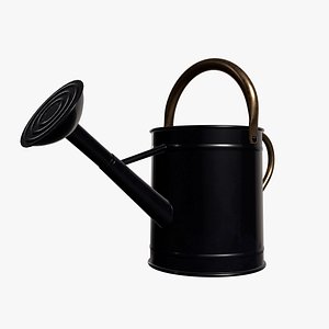 3D model Watering Can