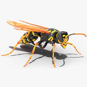 3D paper wasp rigged model