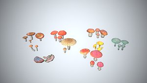 3D model Mushroom Collection Low-poly