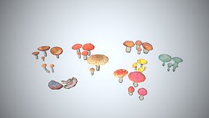 Mushroom Collection Low-poly
