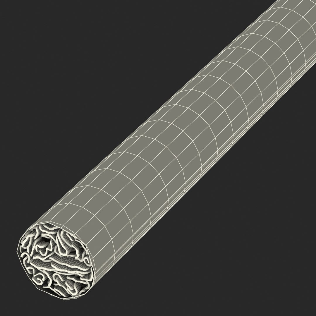 3d cigarette generic white https://p.turbosquid.com/ts-thumb/DM/0mx0gx/GwycCK9D/cigarettegenericwhite3dmodel37/jpg/1458193144/1920x1080/fit_q87/ba57590e730f0a1ed9460de2614bb8cd9d547db3/cigarettegenericwhite3dmodel37.jpg