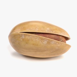 3D pistachio nut pbr model